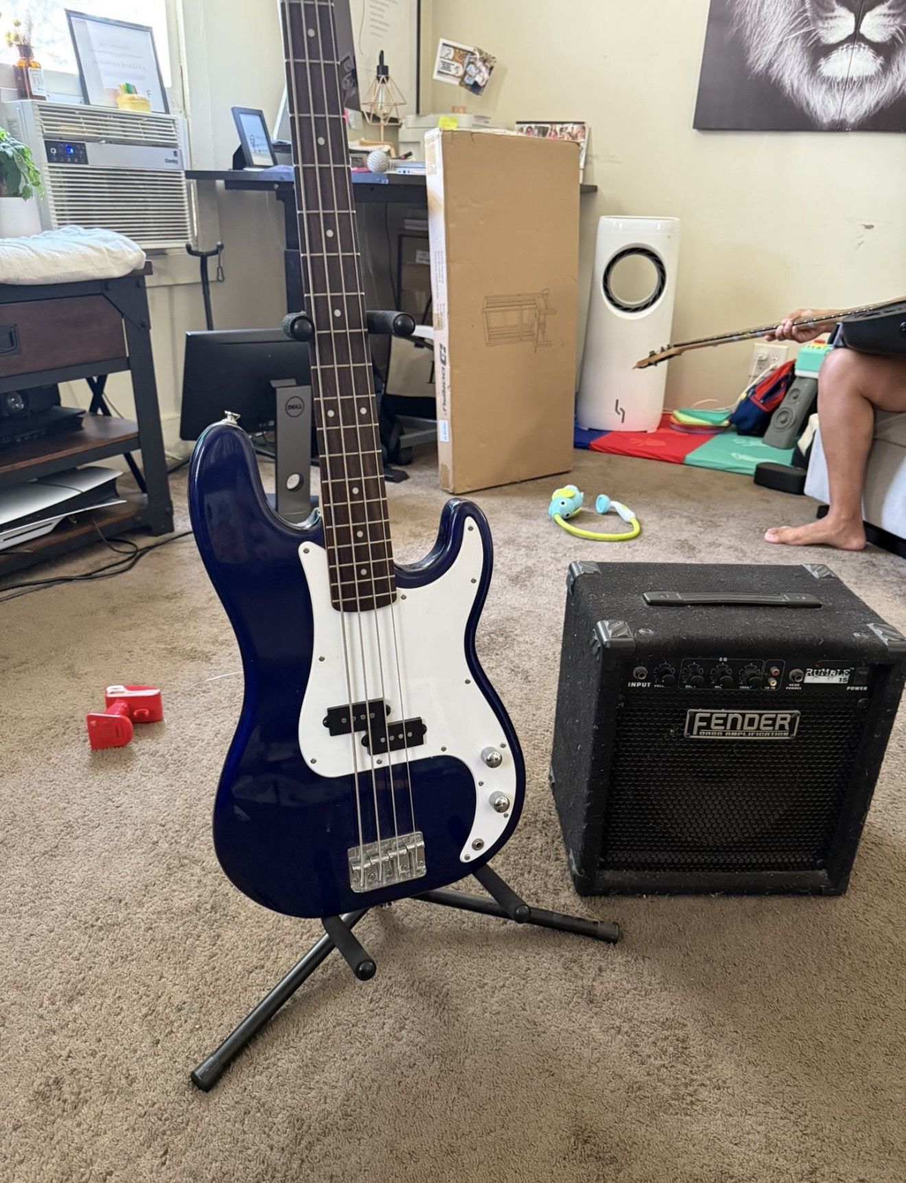 Bass and Amp