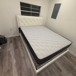 NEW BED FRAME QUEEN SIZE WITH MATTRESS AND BOX SPRING 
