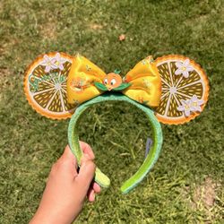 Disney Ears