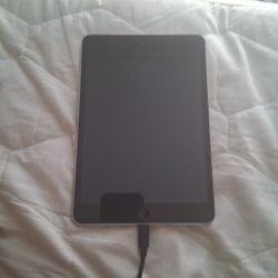 IPad Mini (2nd Gen)