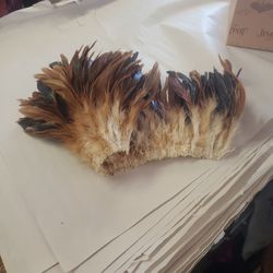 Crafting Feathers