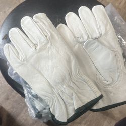 Gloves - Guantes - Dozen - Dozena