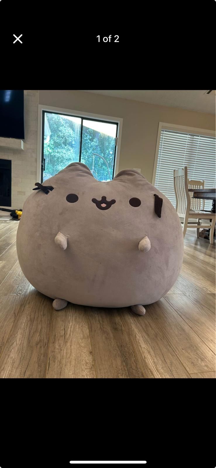 Pusheen 