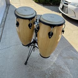 Beautiful 😻 Pearl Primero Conga Set