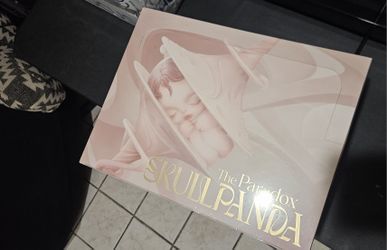 Skullpanda The Paradox