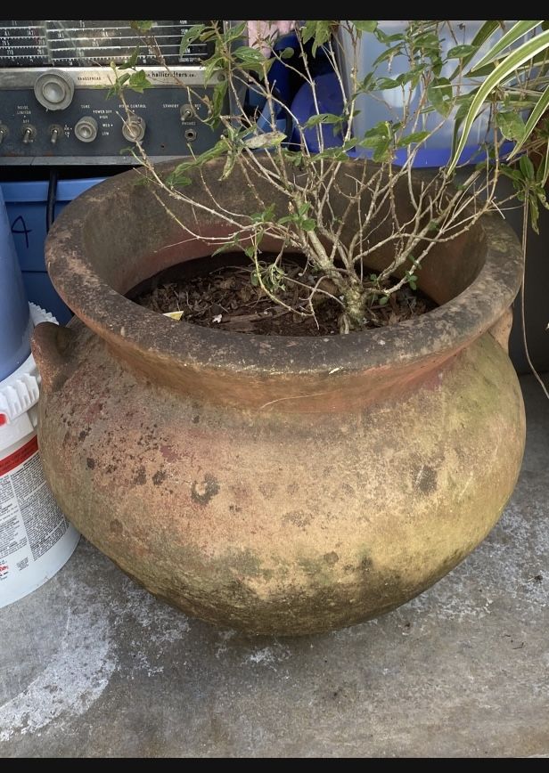 Ceramic Large Plant Pot