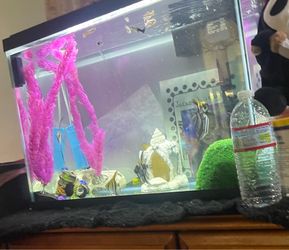 Fish tank