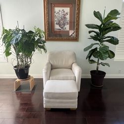 Sofa Oversized Chair w/Foot Stool, Picture Frame and Two Large Plants (real)