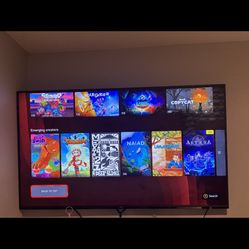 Vizio 75 Inch TV