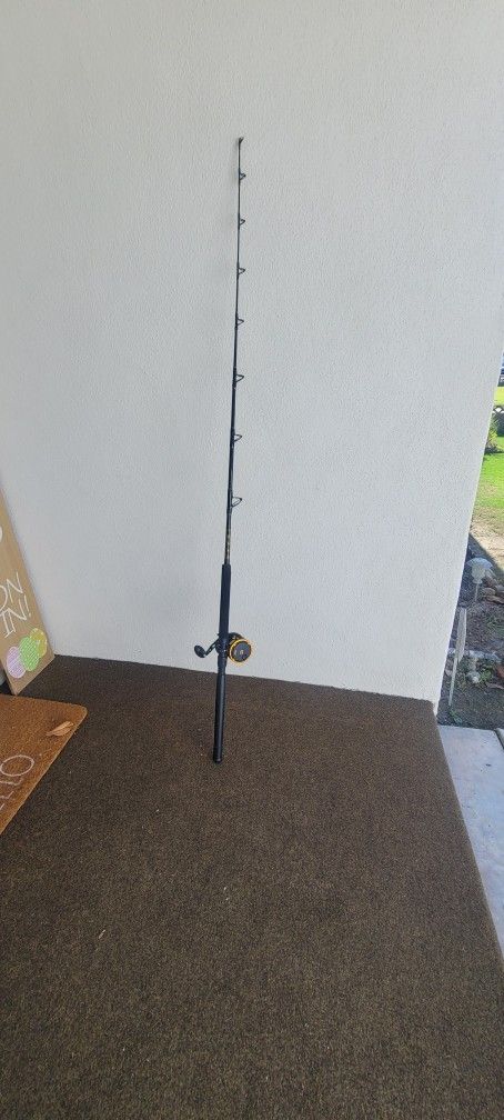 Penn Squall 30LW Reel And Rod