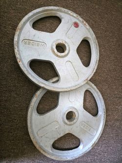 45lb weights