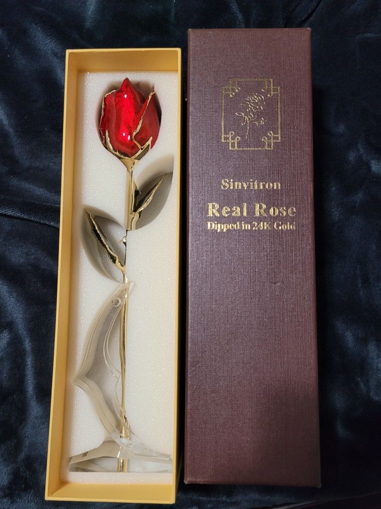 Real Rose Dipped In 24k Gold