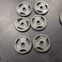 Fitness Gear Olympic plates/ 25Lbs