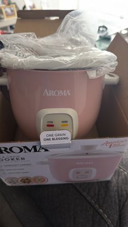 Rice/vegetable/soup cooker