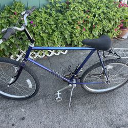 Vintage bicycle