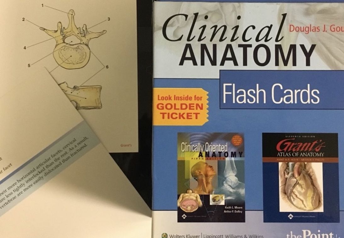 Anatomy Flash Cards