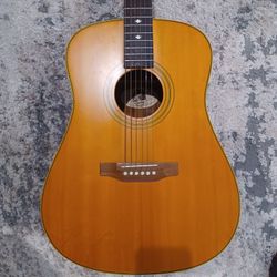 Epiphone PR 720S acoustic Guitar