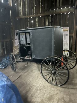Amish Horse Buggy