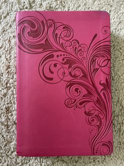 KJV Bible - Pink and Silver