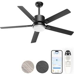 Ceiling Fans with Lights