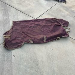 Waterproof Horse Blanket