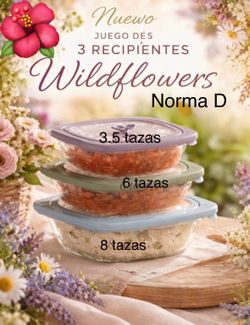 Juego de 3 recipientes herméticos nuevos en sus cajas 🌺 princess house 🌺