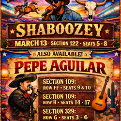 Houston rodeo concert tickets