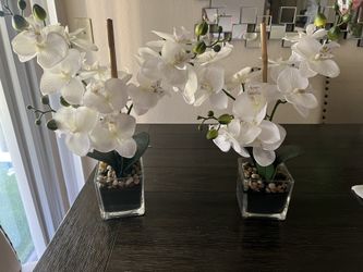 Planta Artificial $20 For Both Need Gone By Today Please 