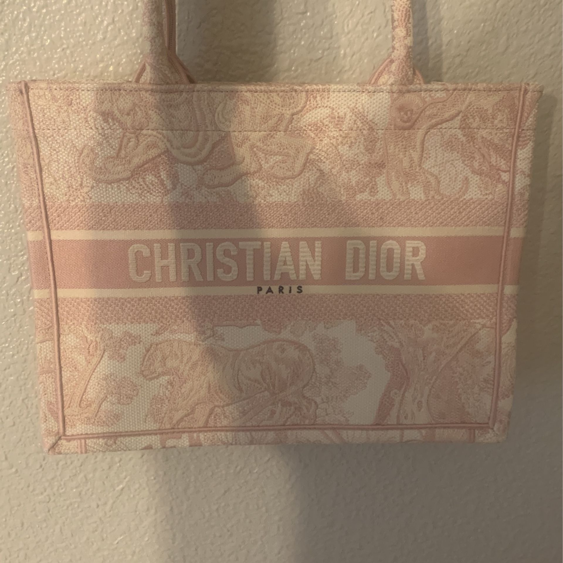 Dior Book Tote