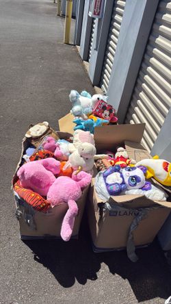 FREE Large Lot of Plush Toys & Kids Stuffed Animals – Pick Up Only