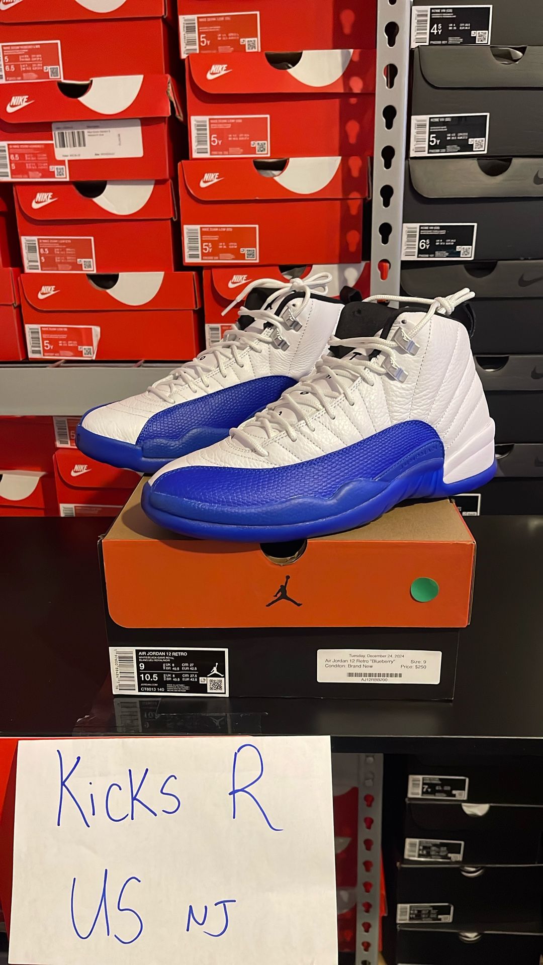 Air Jordan 12 Blueberry Men Size 9