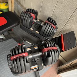 BowFlex Bench, Rack, & Dumbells