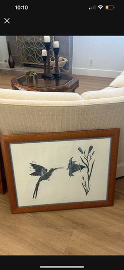 Hummingbird Picture