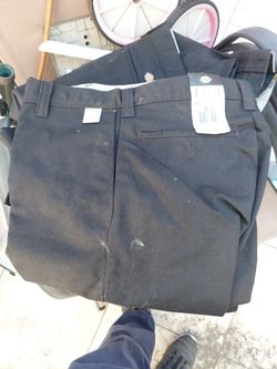 Dickie Pant