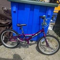 Trek Mountain Lion Bike 