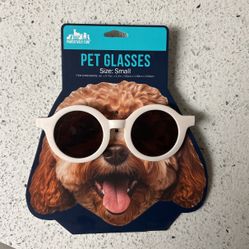 Pet /Dog 🐶 Sunglasses 😎