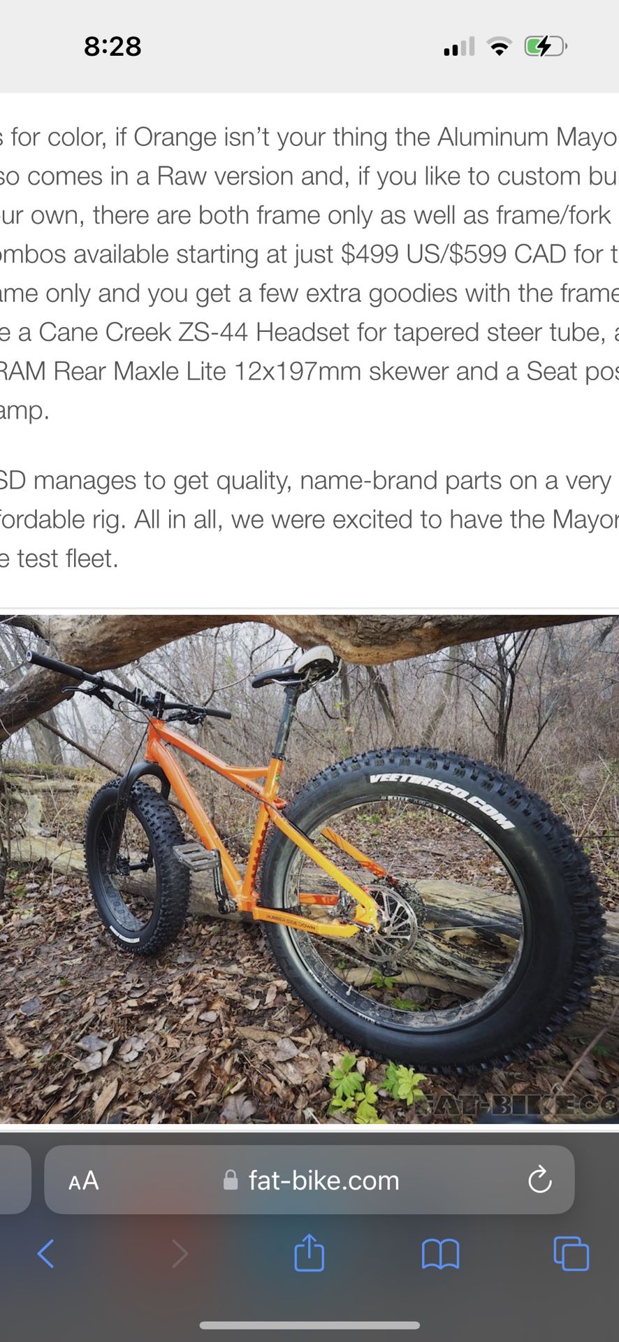 RSD Mayor V3 Fatbike Frame Raw/Polished Brand New