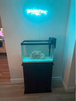 25 Gallon Fish Tank with Stand – Aquarium Setup