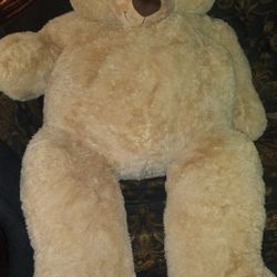 Teddy Bear. 