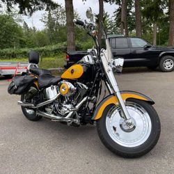 2001 harley online fatboy