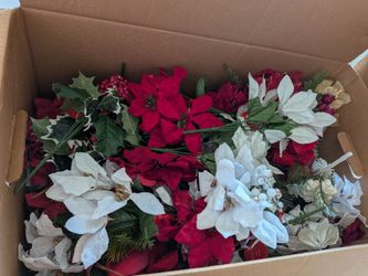 Poinsettia Picks