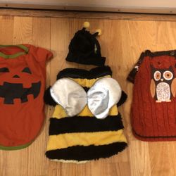 a lot of clothes for a medium-sized dog, all for $15