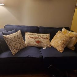 Wayfair, Navy Blue, Comfy Couch Set