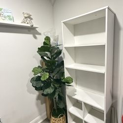 White Book Shelf 