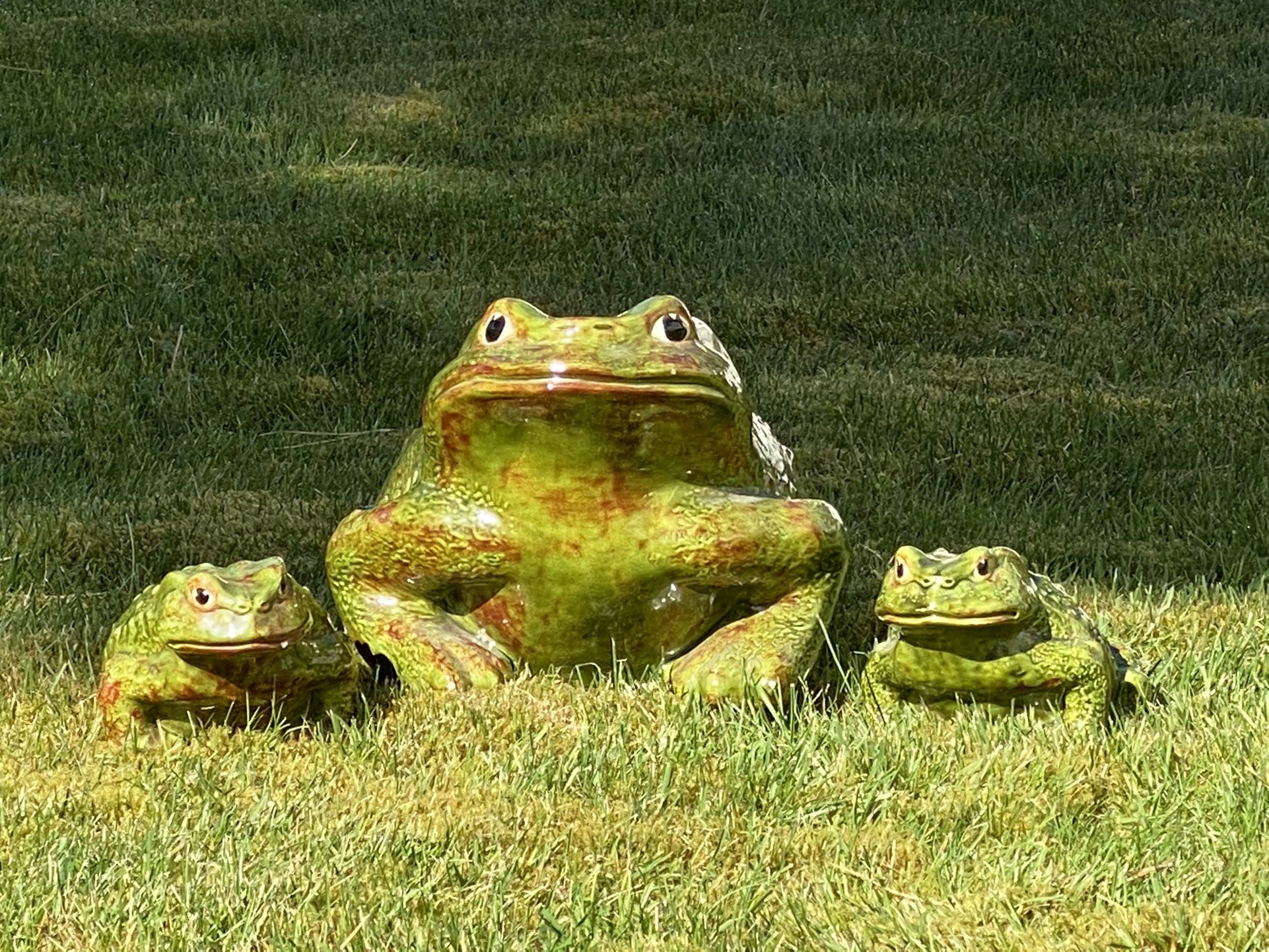 Frog Piggy Banks - Great For Frog Collectors