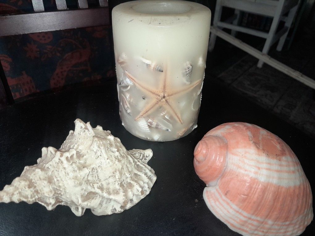 Seashell Candles