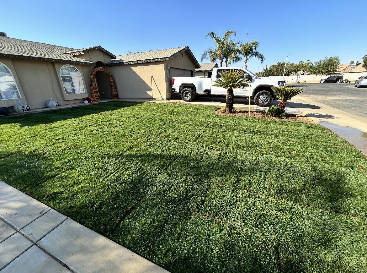 Sprinklers, Sod
