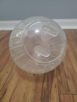 7" Hamster Ball