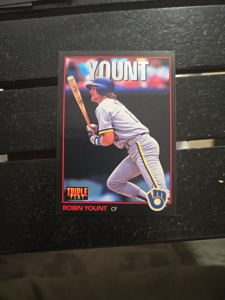 1993 Donruss Baseball Card