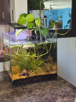 Aquarium